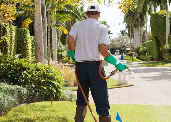 About Crandall TX Pest Control Pros